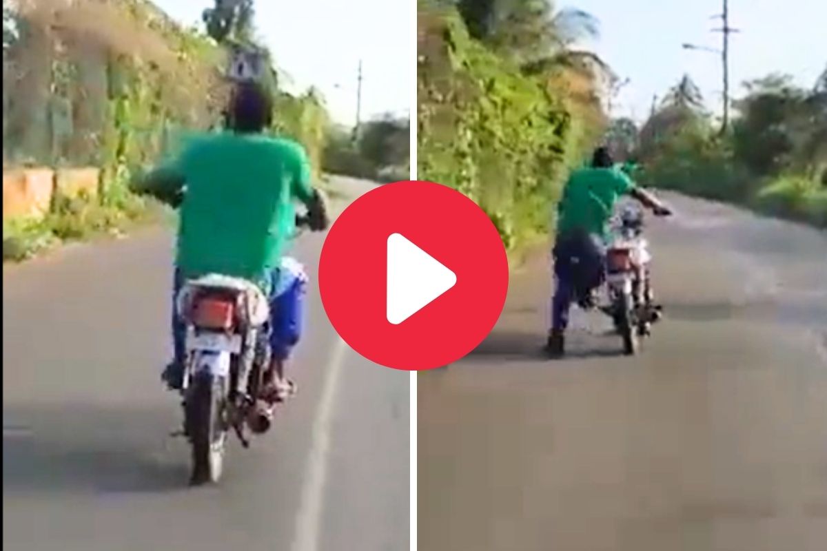 व्हायरल व्हिडीओ