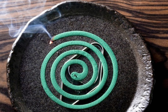 प्रतिकात्मक फोटो