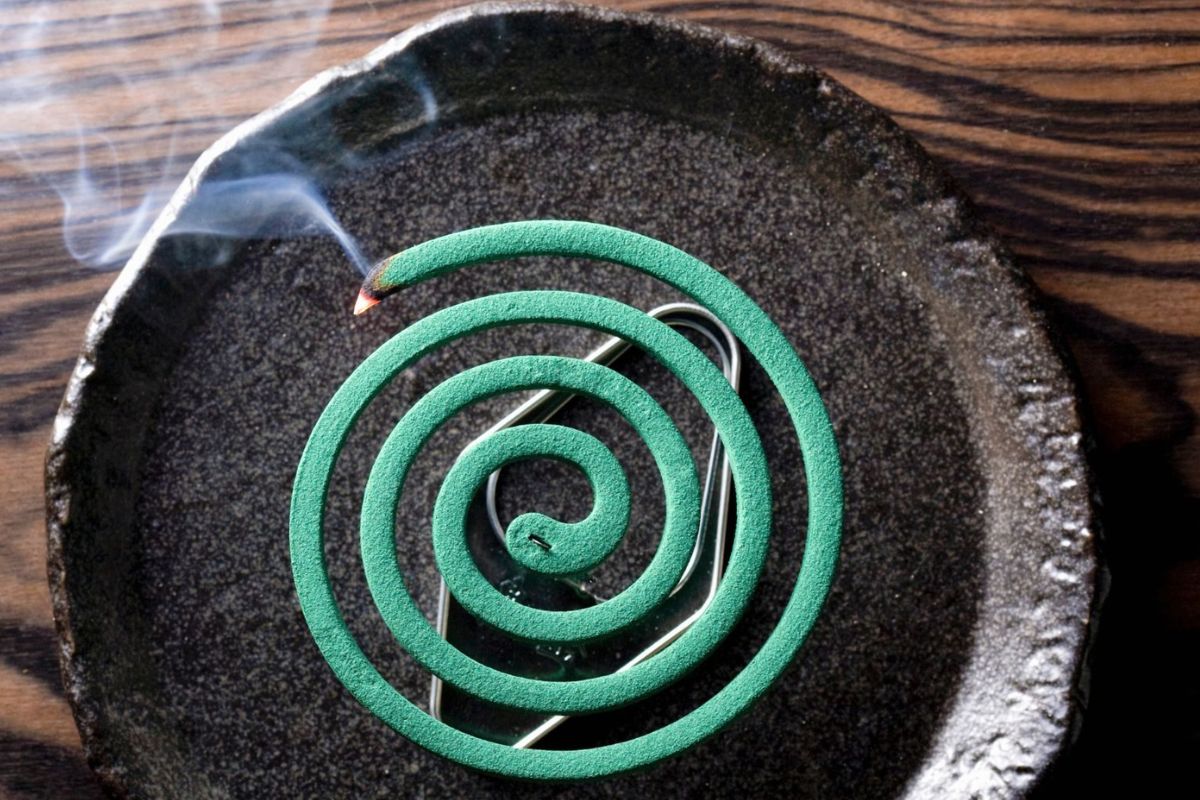 प्रतिकात्मक फोटो