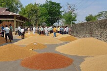 Wardha News: हरभरा विक्रीला ब्रेक, 9.5 हजार शेतकऱ्यांना SMS ची प्रतीक्षा Wardha News: हरभरा विक्रीला ब्रेक, 9.5 हजार शेतकऱ्यांना SMS ची प्रतीक्षा