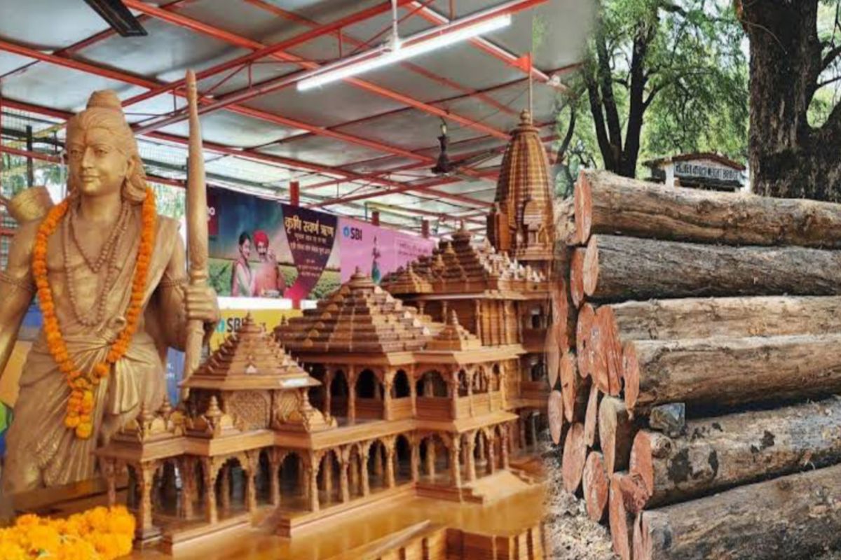 अयोध्येतील राम मंदिरासाठी महाराष्ट्रातून जाणार लाकूड, वाचा काय आहे खास कारण!