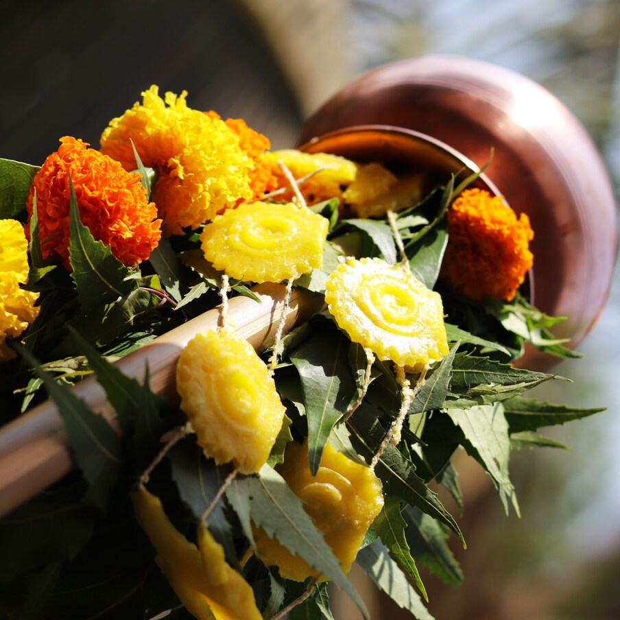 कडूलिंब: कडुलिंबाच्या फुलोरा तसेच पाने सेवन केल्याने रक्त शुद्ध होते आणि व्यक्ती रोगांपासून मुक्त राहते असे म्हणतात. 