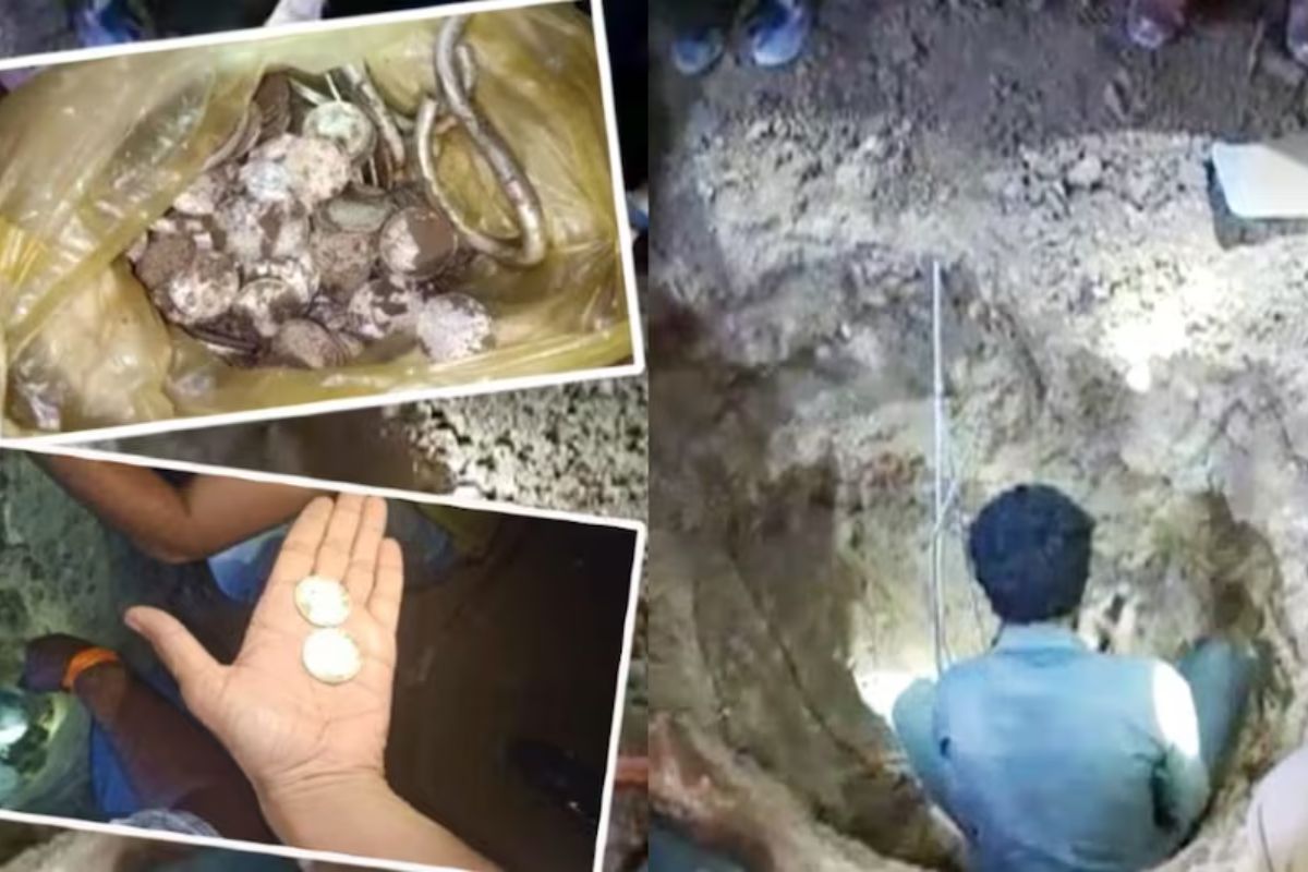 घराच्या बांधकामासाठी खोदकाम करताना सापडली 250 चांदीची नाणी