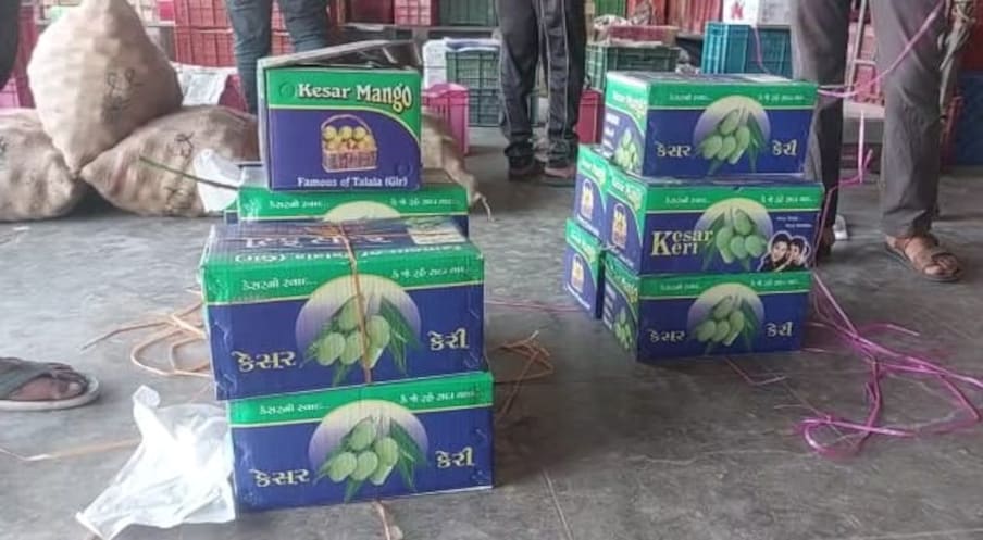 अजूनही केशर आंब्याची आवक सुरू झाली असून त्याला चांगला भाव मिळत आहे. लिलावात दोन ते तीन हजार रुपयांना विक्री झाली.