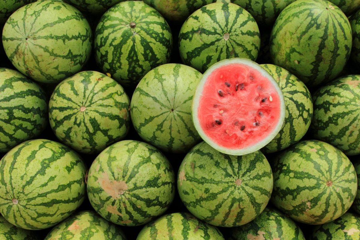 फोटो सौजन्य - Canva