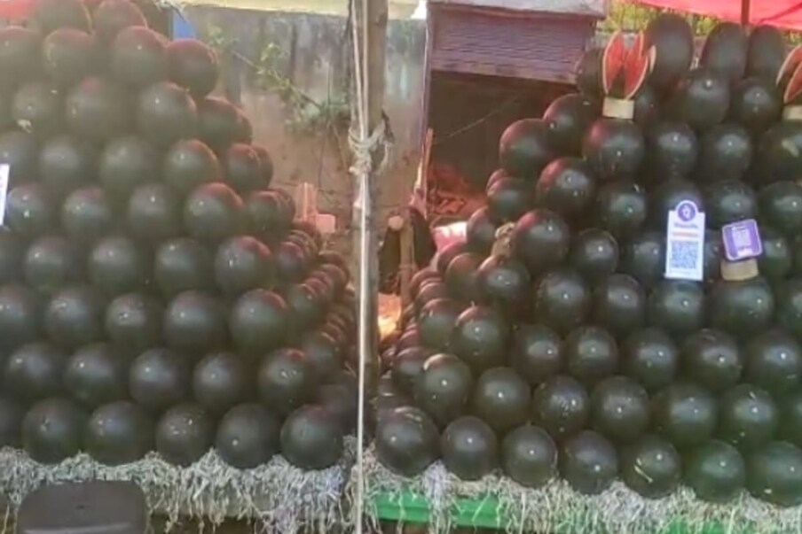  राजस्थानचे कलिंगड इतके गोड नसतात याचं कारण इथे पाण्याची खूप कमतरता आहे. 