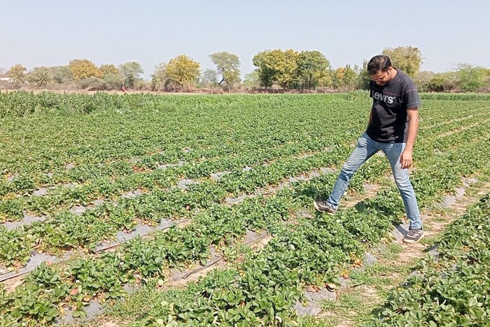 फक्त त्यासाठी तुम्हाला योग्य माहिती काढता आली पाहिजे. 