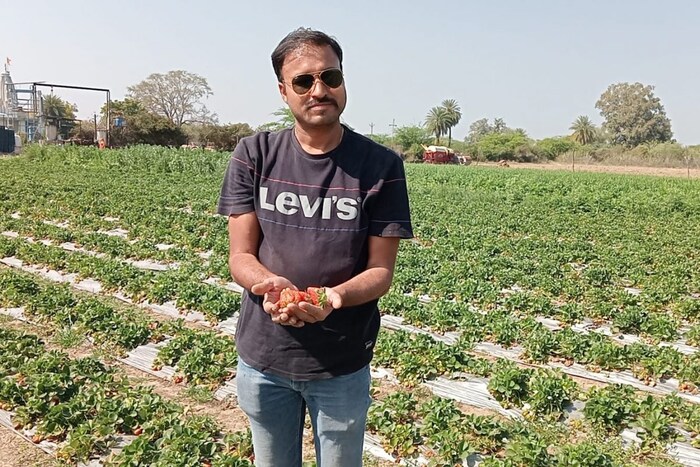 आजच्या घडीला कपिल आणि त्यांच्या बायकोने गावातील लोकांनाही चांगला रोजगार मिळवून दिला आहे. या दोघांची कोटामध्ये सध्या चर्चा होत आहे. 