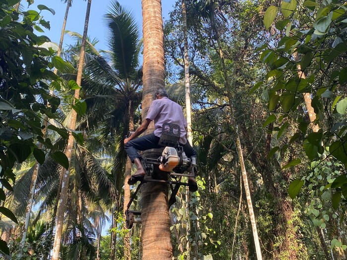 वयाच्या 51व्या वर्षी त्यांनी ‘ट्री बाइक’ बनवून शेतकर्‍यांचं काम सोपं केलं आहे. आपल्या आधीच्या ट्री बाइकमध्ये सुधारणा करून त्यांनी सुधारित ट्री बाइक विकसित केली. ही बाइक 45 किलो वजनाची आहे; पण ती ट्रॉलीच्या साहाय्याने सहज वाहून नेता येते.