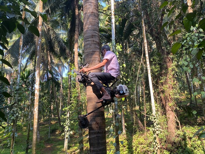  पेट्रोलवर चालते आणि 1 लिटर पेट्रोलमध्ये किमान 70 ते 80 झाडांवर चढता येते. 5 ते 15 इंच जाडी असलेल्या झाडांवर ही बाइक वापरली जाऊ शकते. सर्वांत चांगली गोष्ट म्हणजे ती झाडांवर 360 डिग्री अंशांत फिरते. ती खासकरून सुपारी आणि नारळाच्या झाडांवर वापरता येते. शिवाय आंबा आणि फणसाची झाडं सरळसोट असली, तर त्यांवर चढण्यासाठीही ती वापरता येते.