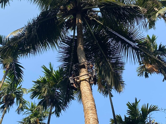 कोमाले यांनी बनवलेली ही बाइक शेतकऱ्यांसाठी वरदान आहे. त्याचं कारण म्हणजे या कामासाठी मजूर मिळणं हे एकप्रकारचं आव्हान असतं. या मशीनच्या मदतीने शेतकऱ्यांना मजुरांची गरज भासणार नाही. 