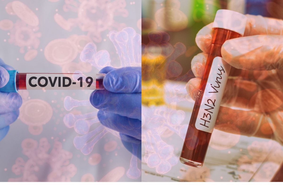 फोटो सौजन्य - Canva