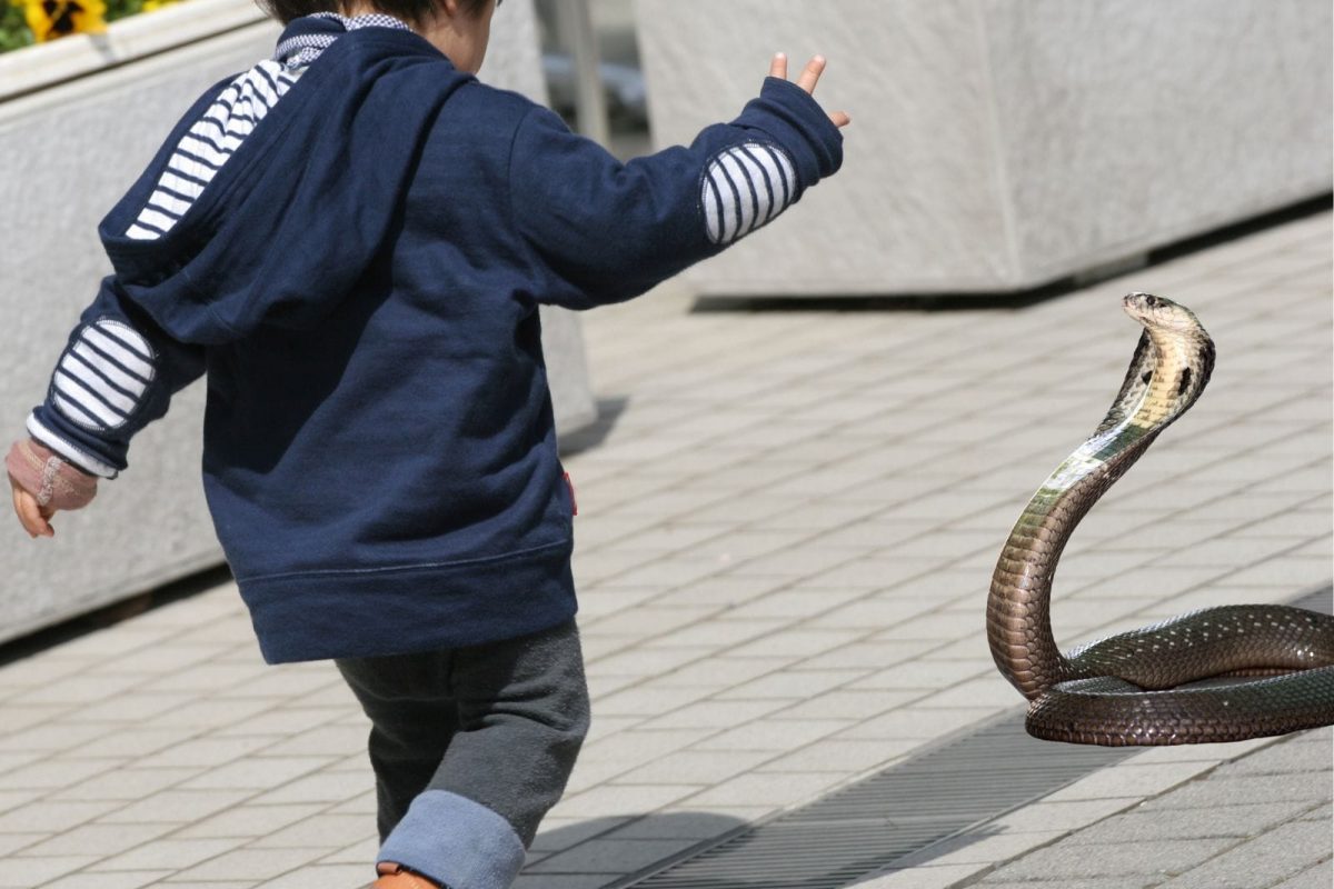 प्रतीकात्मक फोटो (सौजन्य - Canva)