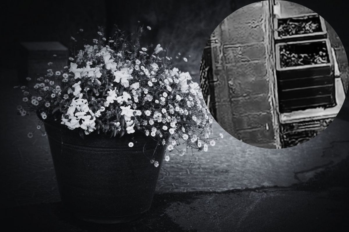 फुलझाडांतून येत होता दुर्गंध कारण...