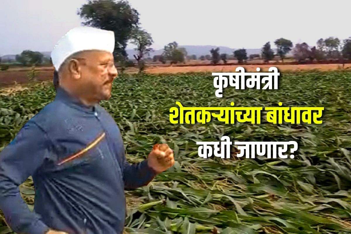 कृषी मंत्र्यांकडून 5 मिनिटांत नुकसानाची पाहणी