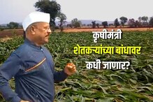अवकाळी पावसाने शेतीमाल मातीमोल! कृषी मंत्र्यांकडून 5 मिनिटांत नुकसानाची पाहणी