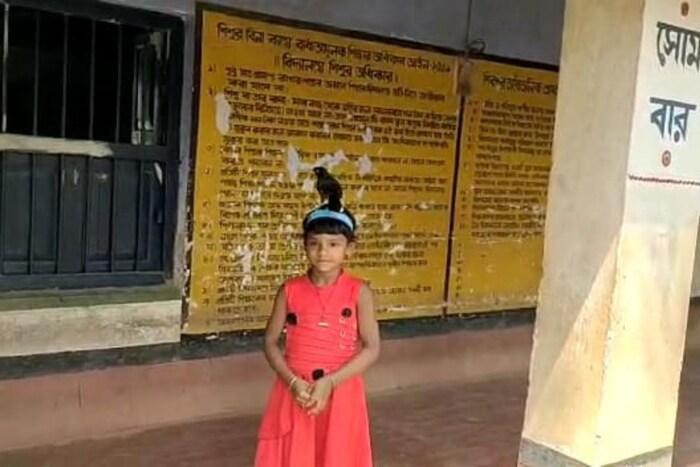 अंकिता इतर मैत्रिणींसोबत शाळेत येते तेव्हा मिठू झाडावरून उडून अंकिताच्या खांद्यावर किंवा डोक्यावर बसतो. जोपर्यंत अंकिता वर्गात आहे, तोपर्यंत मिठू तेथे थांबते. अंकिता प्रेमाने मिठूला बिस्किटाचा तुकडा देते. अंकिताला पाहून आता इतर विद्यार्थी आणि शिक्षकांनीही मिठूच्या अन्न देतात.