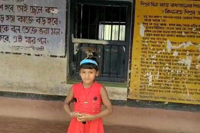 अंकिता बागडी हिने नुकतेच पश्चिम वर्धमान येथील कांकसा येथील शिवपूर प्राथमिक शाळेत प्रवेश घेतला आणि जेव्हा जेव्हा अंकिता शाळेत येते तेव्हा मिठू नावाची मैना अंकितासोबत वर्गात येते. अंकिता जोपर्यंत वर्गात आहे, तोपर्यंत मिठूही तेथे थांबते आणि अंकिता घरी गेल्यावर मिठू परत आपल्या घरी जातो.