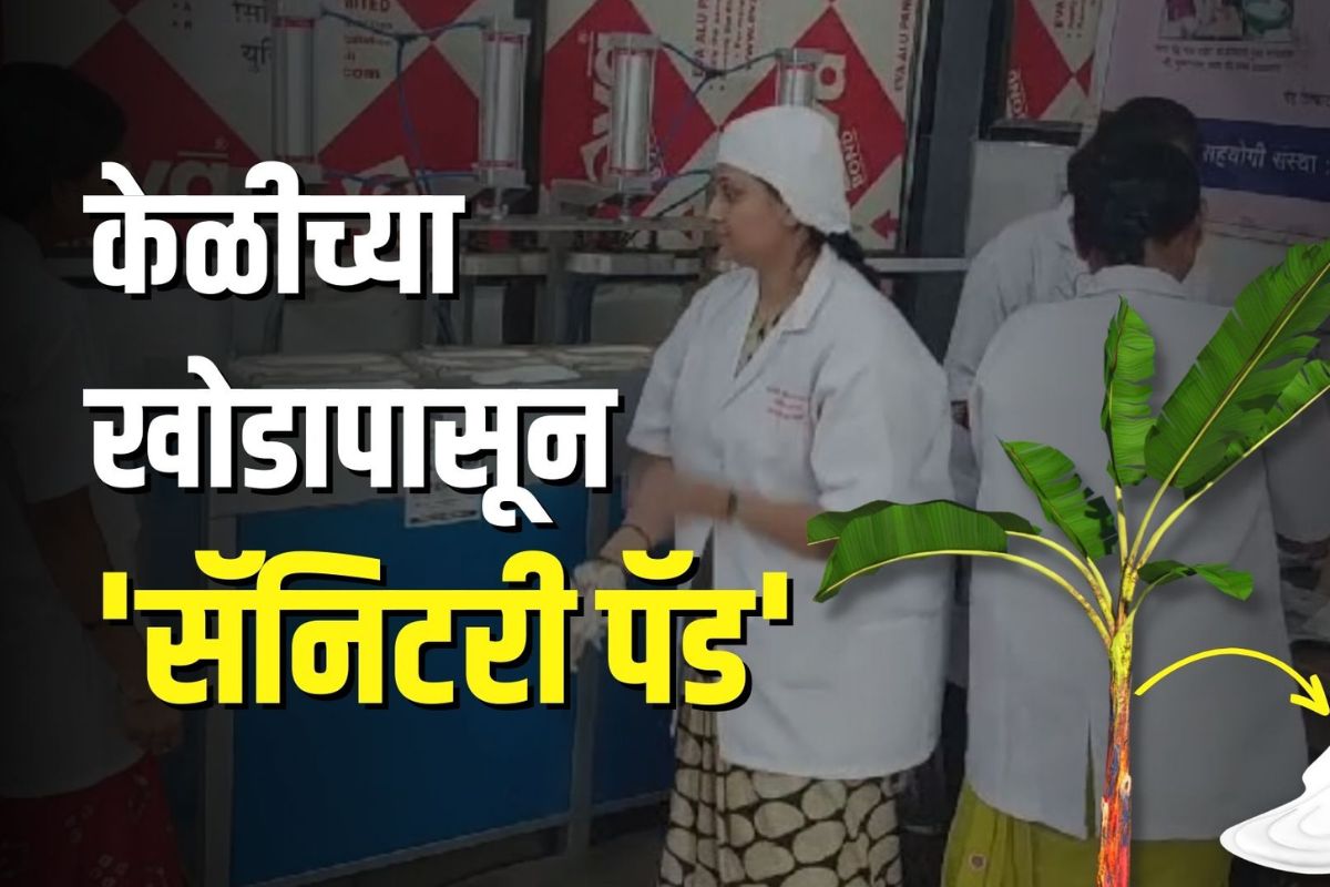 Success Story: महिलांचं अनोखं Start Up, चक्क केळीच्या खोडापासून बनवले सॅनिटरी पॅड! Video