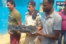 शौचालय बांधण्यासाठी पाया खोदला अन् साक्षात जे मिळालं ते होतं जबरदस्त शौचालय बांधण्यासाठी पाया खोदला अन् साक्षात जे मिळालं ते होतं जबरदस्त
