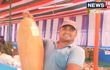 बापरे! 18 किलोचे सीताफळ अन् 15 किलोचा भोपळा, फोटो पाहून तुम्हालाही वाटेल आश्चर्य बापरे! 18 किलोचे सीताफळ अन् 15 किलोचा भोपळा, फोटो पाहून तुम्हालाही वाटेल आश्चर्य