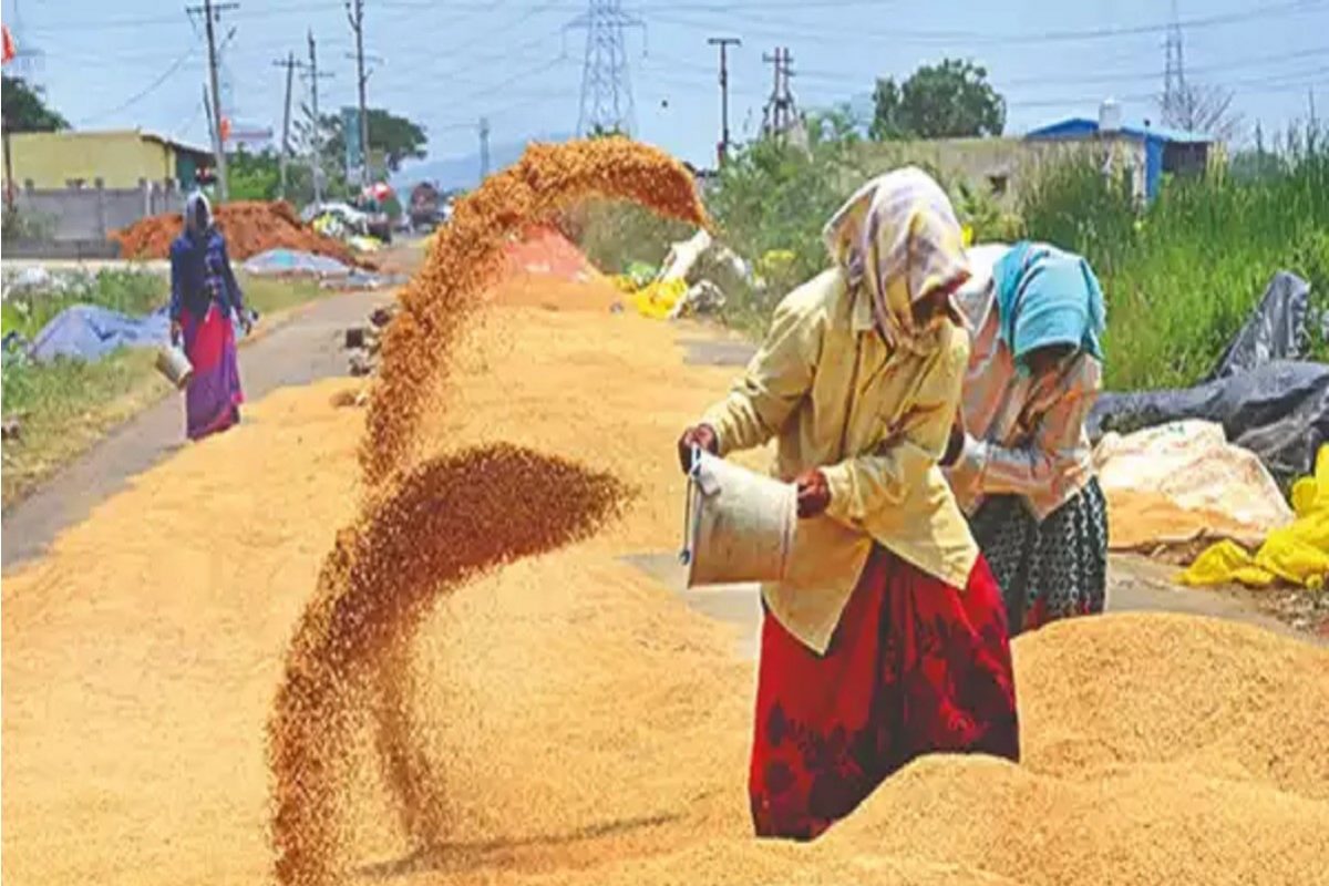 ‘या; जिल्ह्यातील शेतकऱ्यांसाठी खुशखबर, तब्बल 198 कोटी रुपये झाले जमा