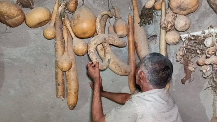 रामलोतन कुशवाह असे त्यांचे नाव असून त्यांनी आपल्या घरात 13 प्रकारच्या जंगली खाद्यांचे संग्रहालय बनवले आहे. यातून त्यांनी एक वेगळपण जपलं आहे.