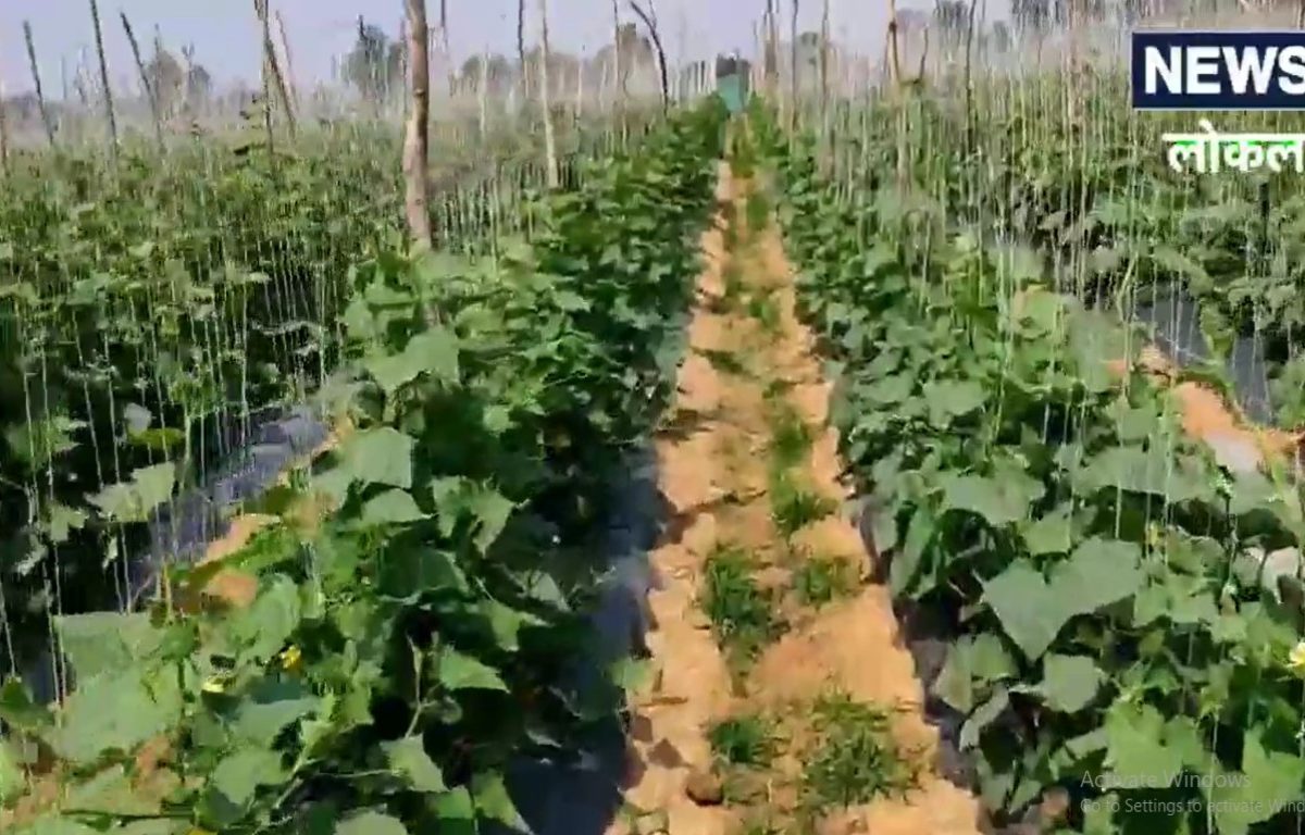 Youtube वर बघून शेती केली; महिन्याला कमावतो 1,50,000 रुपये, कोण आहे हा शेतकरी?