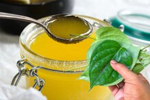 तुप बनवताना विड्याच्या पानाचे काय महत्त्व असते? तुप बनवताना विड्याच्या पानाचे काय महत्त्व असते?