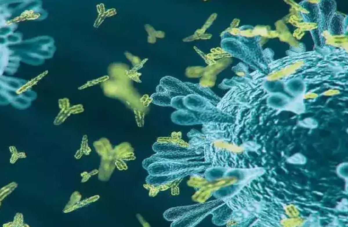 पिंपरी चिंचवडमध्ये H3N2 बाधित रुग्णाचा मृत्यू