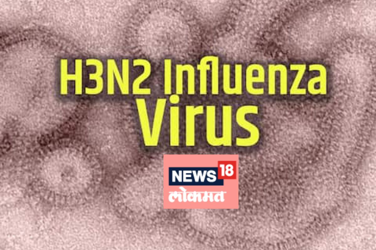 फाईल फोटो