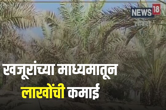 खजूर शेती