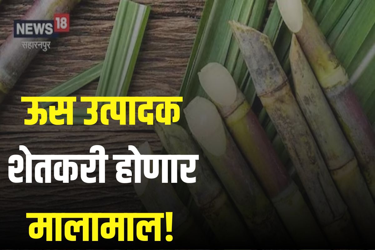 ऊस उत्पादक शेतकरी होणार मालामाल!