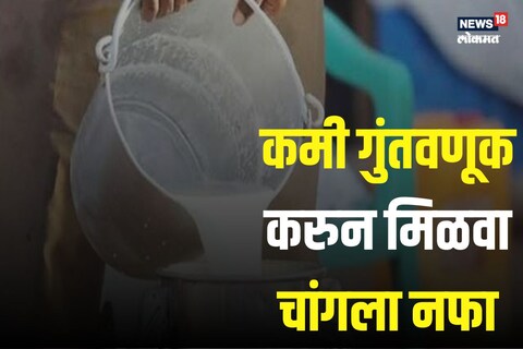 शेतकऱ्यांना आता चांगले पैसे कमावण्याची संधी आहे.