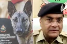IPS अधिकाऱ्याने स्निफर डॉग्सवर लिहिले पुस्तक, केला दावा हा महत्त्वाचा दावा