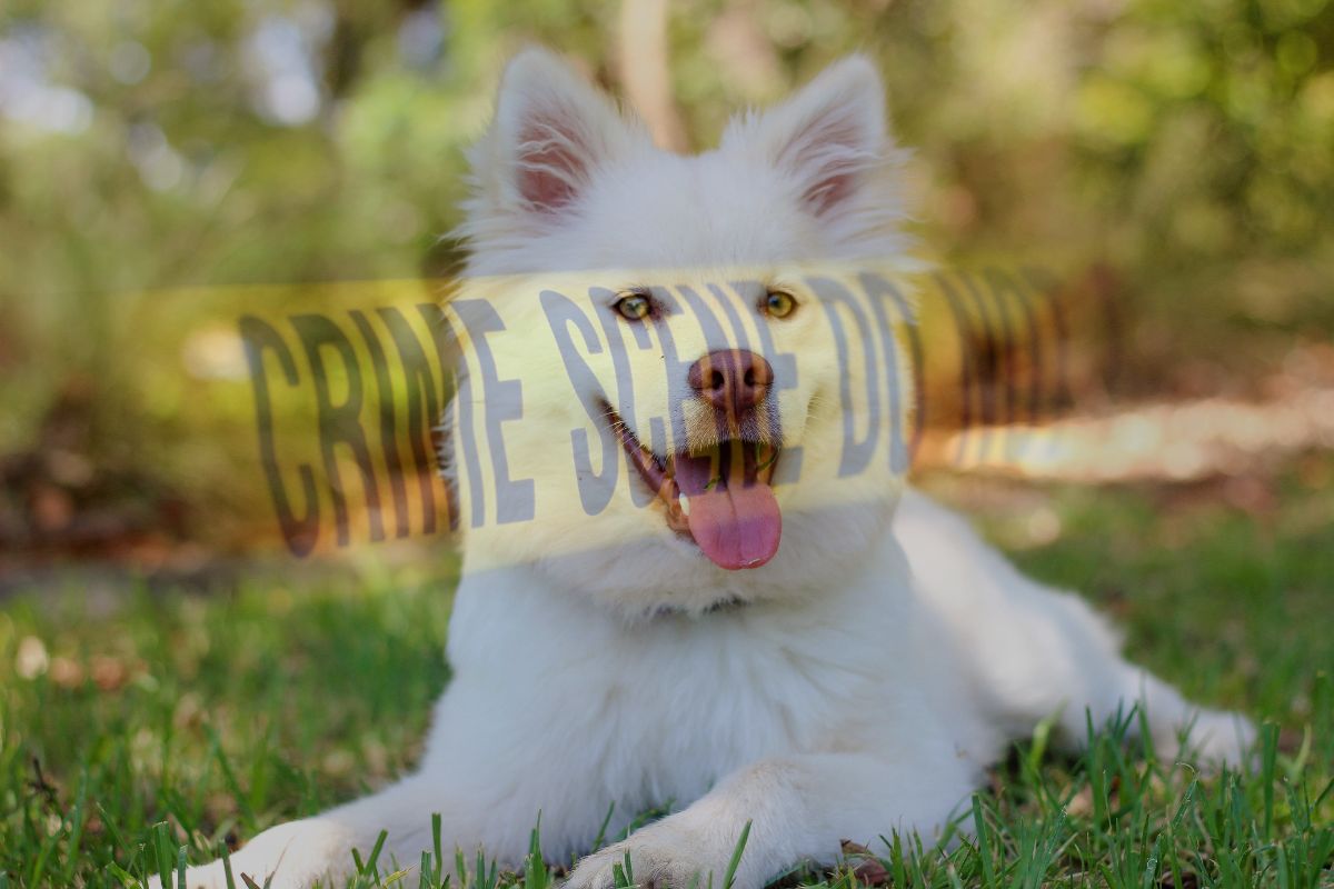 प्रतिकात्मक फोटो