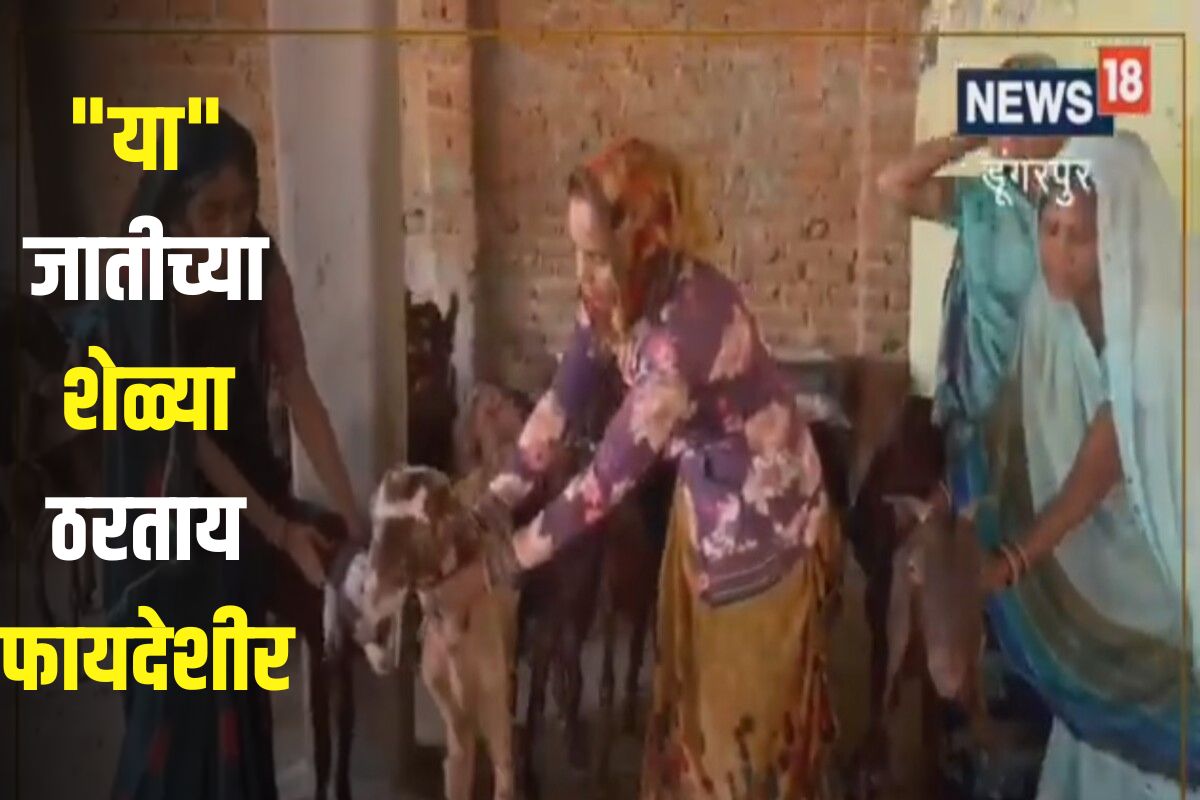 शेळ्यांच्या माध्यामातून चांगले आर्थिक उत्पन्न