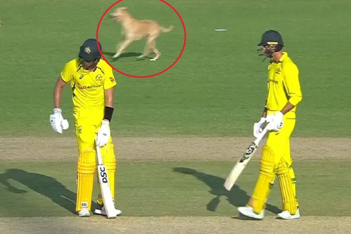 सामना सुरु असताना भर मैदानात शिरला कुत्रा! खेळाडूंसह प्रेक्षकही हसून हसून लोटपोट Video