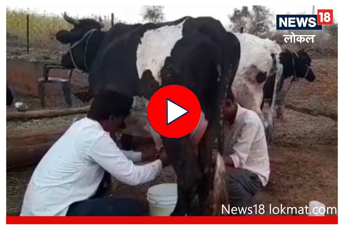 Success Story : कोरोना काळात दाखवलं धाडस, विसाव्या वर्षीच तरुण बनला लखपती! Video