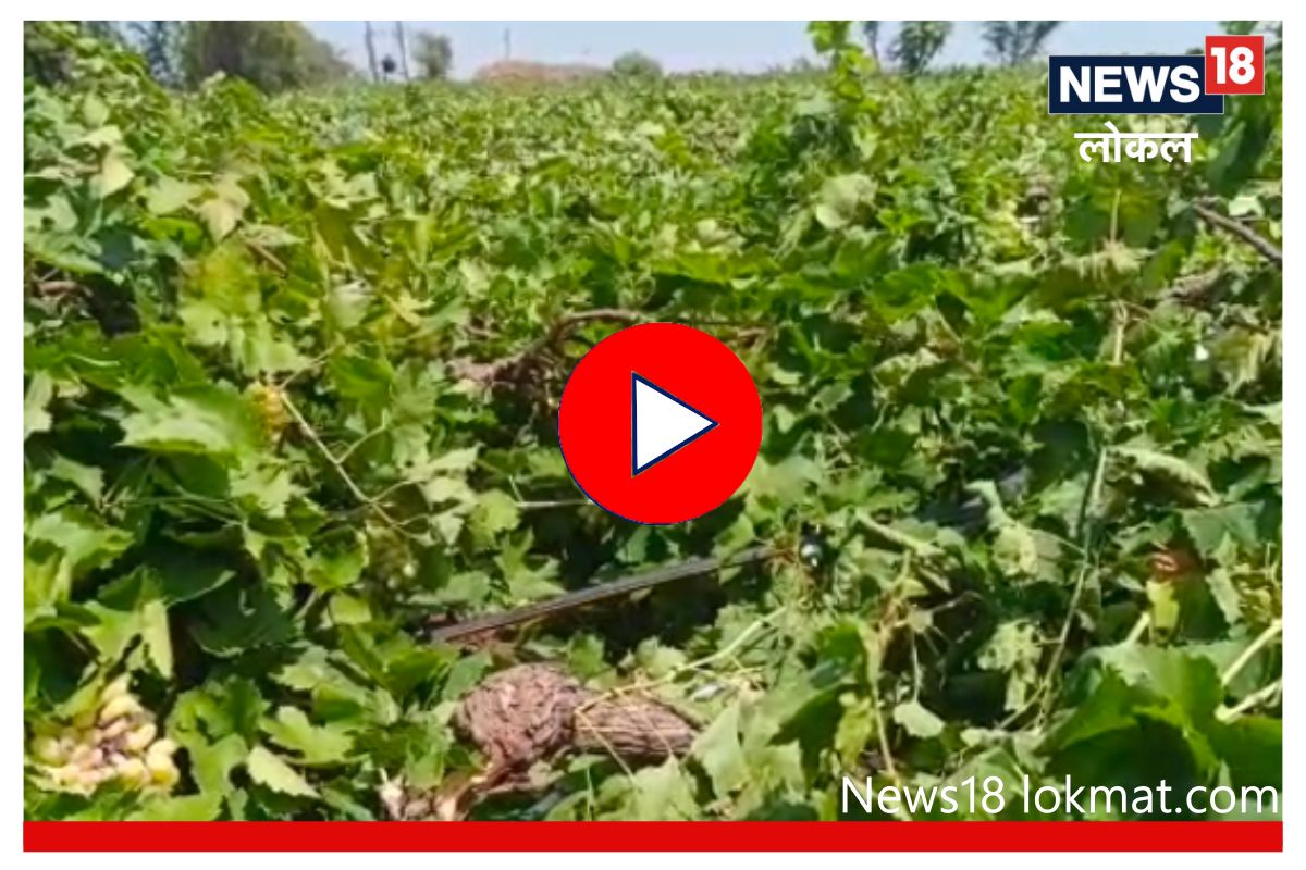 अडीच एकर द्राक्ष बाग काही क्षणात भुईसपाट, शेतकऱ्याचे लाखो रूपये पाण्यात, Video