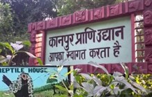 तब्बल 12 प्रजातींचे साप बघायचे आहेत तर जाणून घ्या या प्राणी संग्रहालयाविषयी