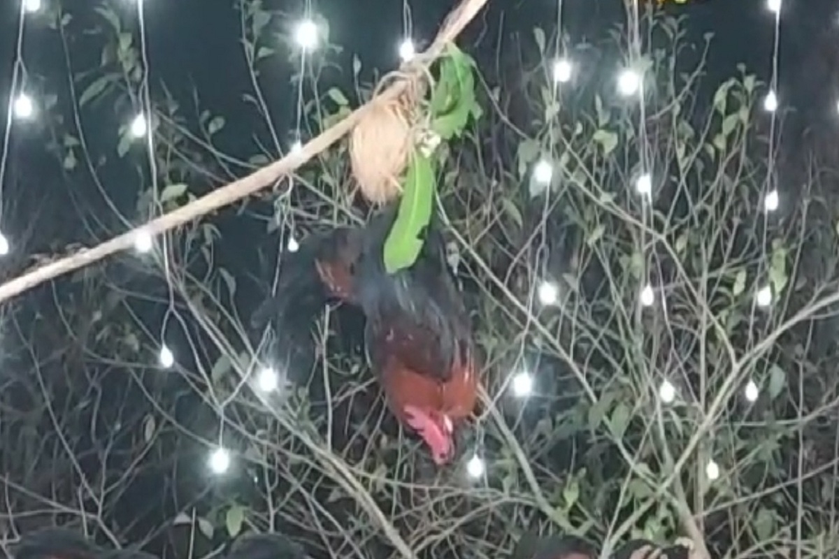 शिमगोत्सव : देवीच्या होमचा सोहळा पाहण्यासाठी नागरिकांची उसळली गर्दी