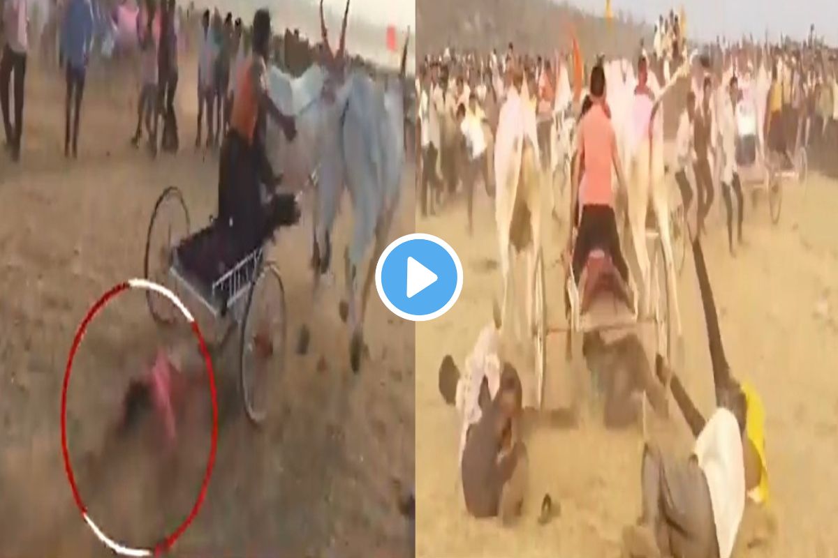 बैलगाडा शर्यतीत भीषण अपघात, कोल्हापुरातील घटना