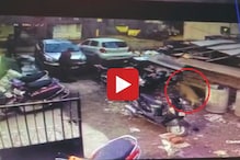 Video : कार धुत असलेल्या व्यक्तीसोबत भयंकर प्रकार, बिबट्याने एन्ट्री केली आणि... Video : कार धुत असलेल्या व्यक्तीसोबत भयंकर प्रकार, बिबट्याने एन्ट्री केली आणि...