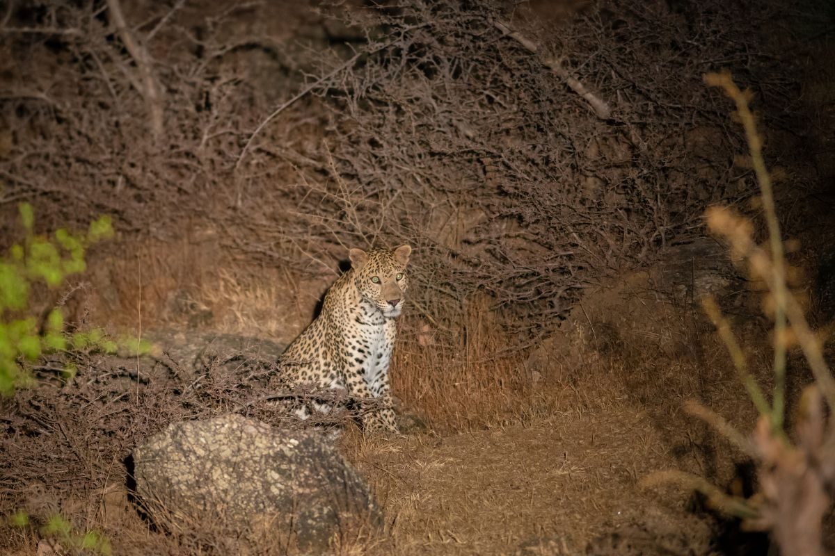 प्रतिकात्मक फोटो