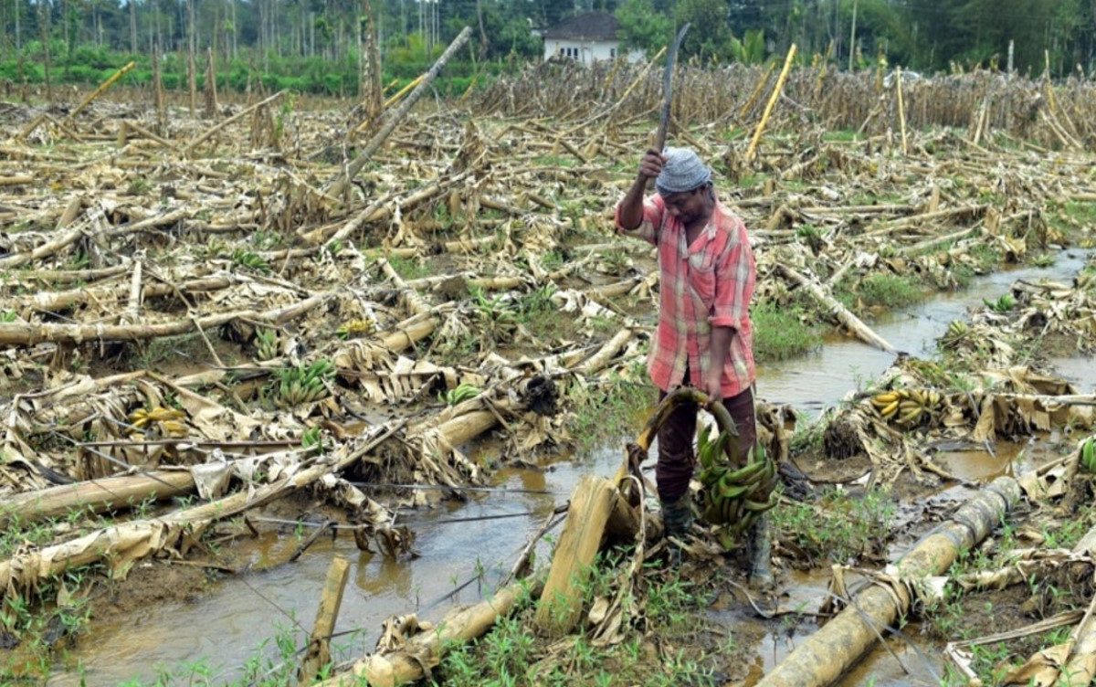 काळजी घ्या! 30 जिल्ह्यात गारांसह वादळी पावसाचा इशारा, ऑरेंज आणि यलो अलर्ट जारी