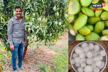 डोळ्यांदेखत 15 मिनिटात गारपीटीने 25 लाखाची माती; आता जगायचं कसं? शेतकऱ्याचा सवाल डोळ्यांदेखत 15 मिनिटात गारपीटीने 25 लाखाची माती; आता जगायचं कसं? शेतकऱ्याचा सवाल