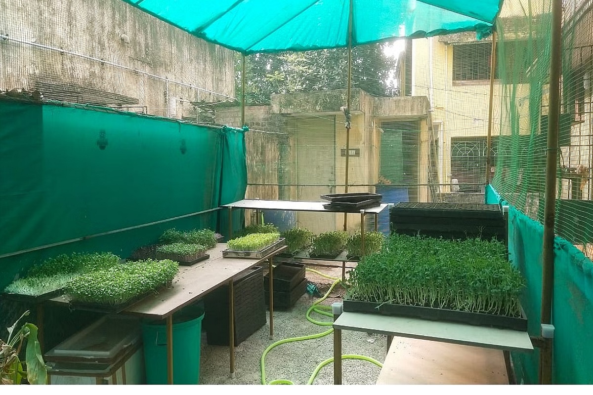 फार्मिंग टिप्स