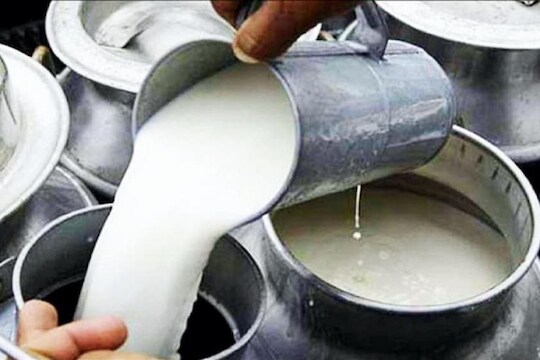 LIVE Updates :  कोल्हापुरात उष्णतेमुळे दूध उत्पादनात घट