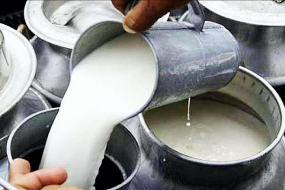 LIVE Updates : कोल्हापुरात उष्णतेमुळे दूध उत्पादनात घट